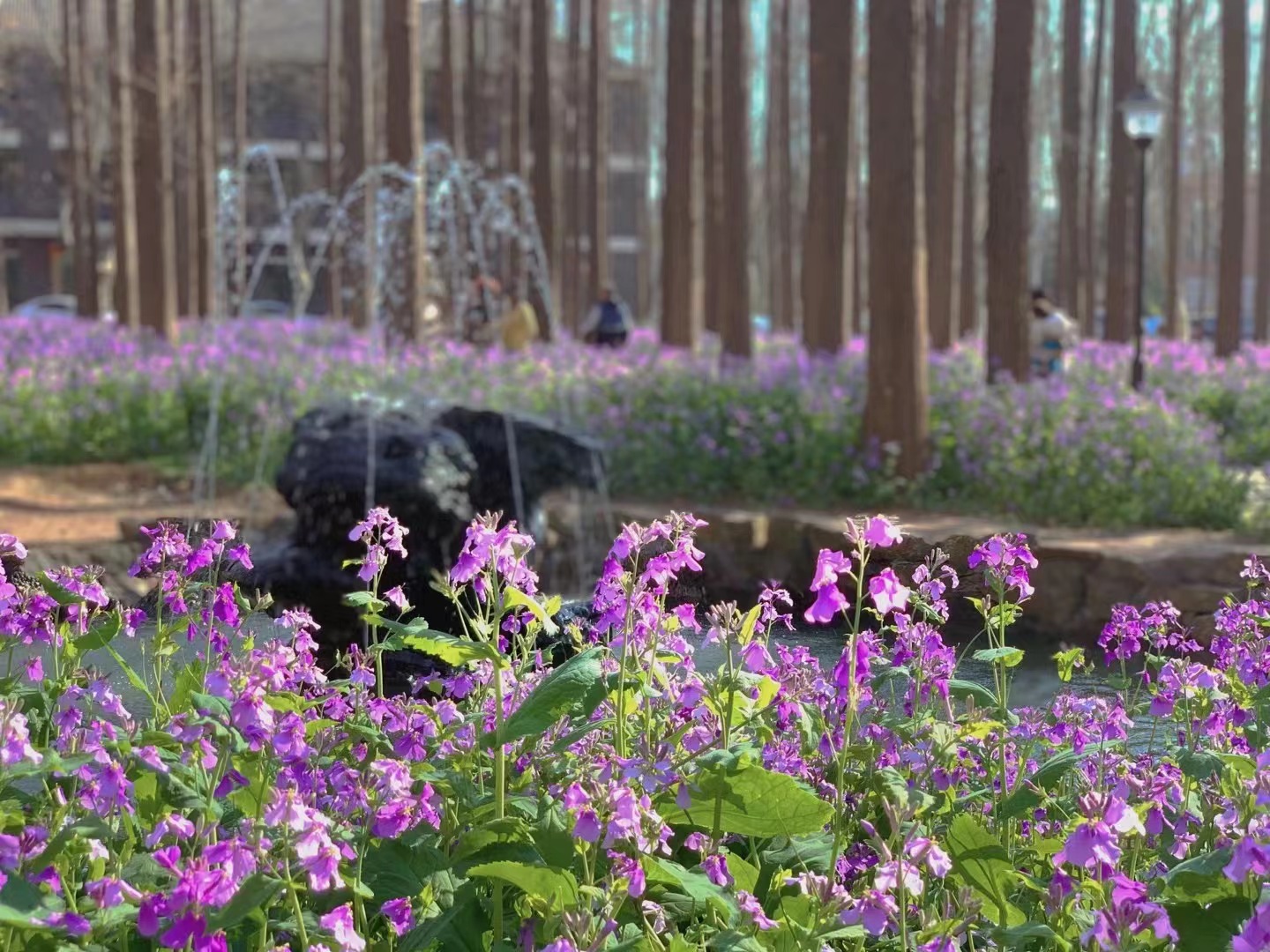 图源:南京理工大学公共事务学院副教授沈捷 图源:南京理工大学公共事务学院副教授沈捷